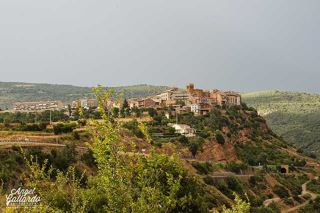 Talarn